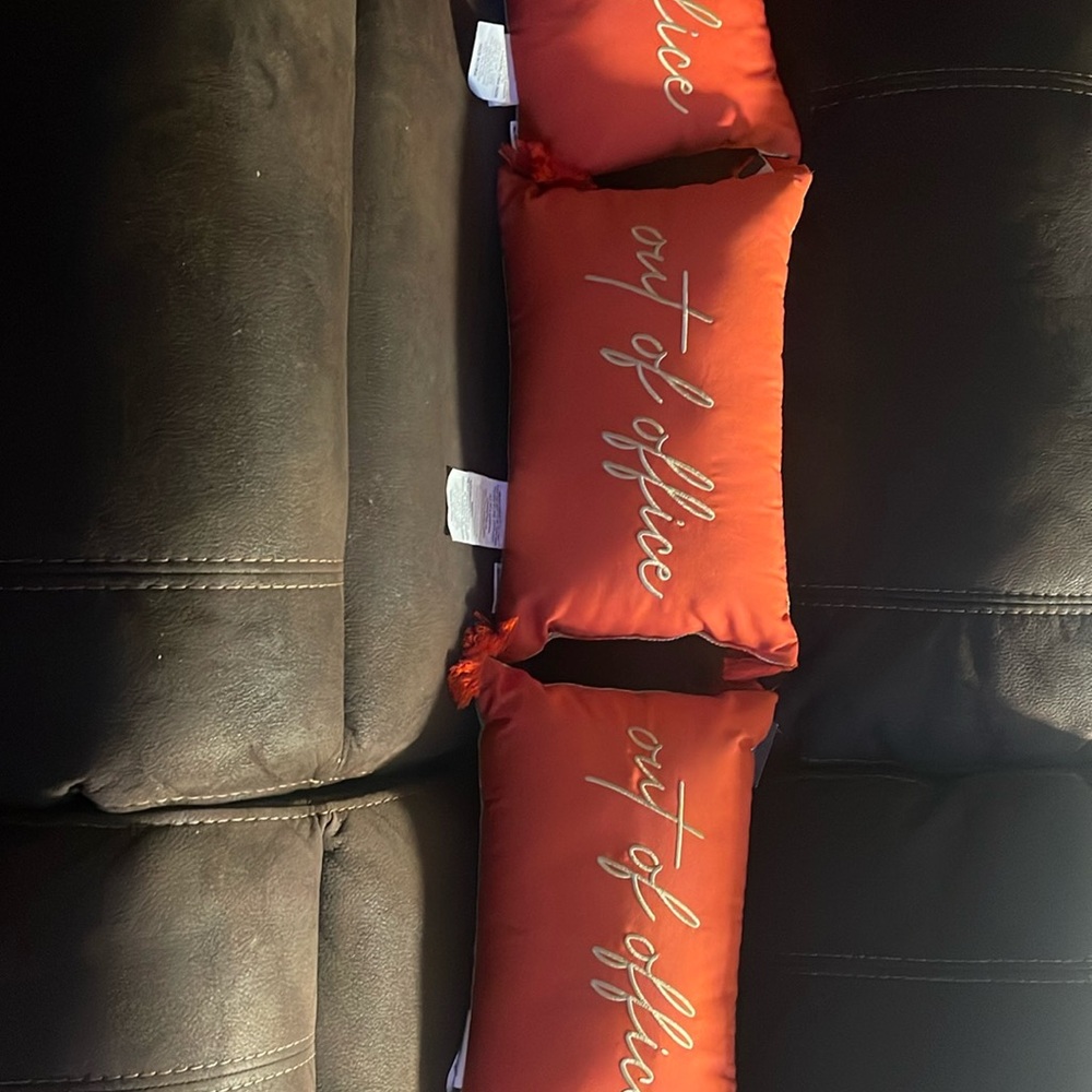 Three beautiful pillows out of the office